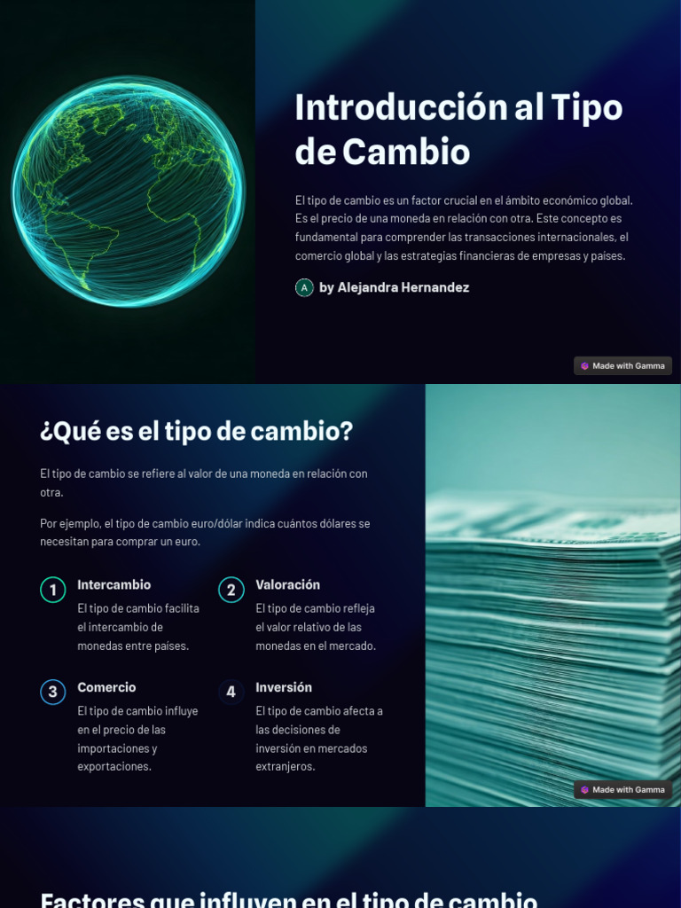 Exposición al Tipo de Cambio en Economía | PDF | Tipo de cambio | Moneda