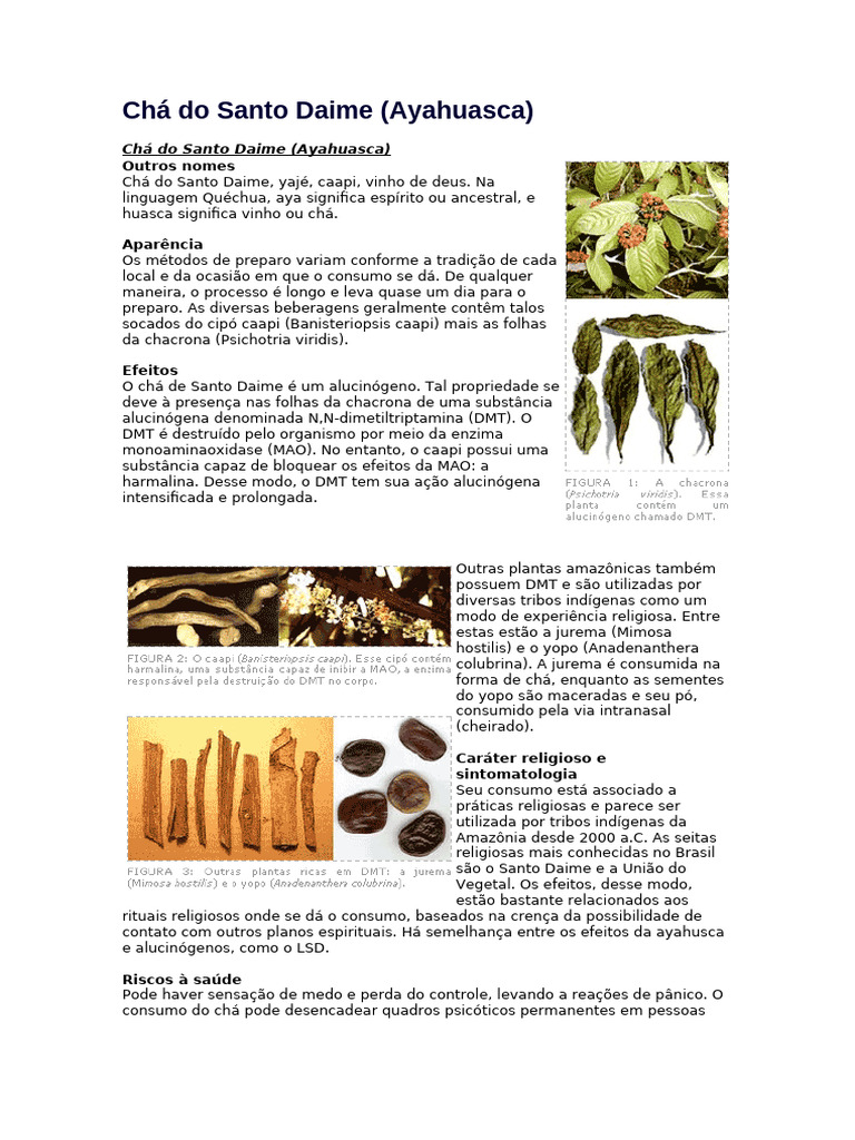 História Cultural Chá Do Santo Daime | PDF | Ayahuasca | Xamanismo