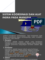 Sistem Koordinasi Dan Alat Indra Pada Manusia