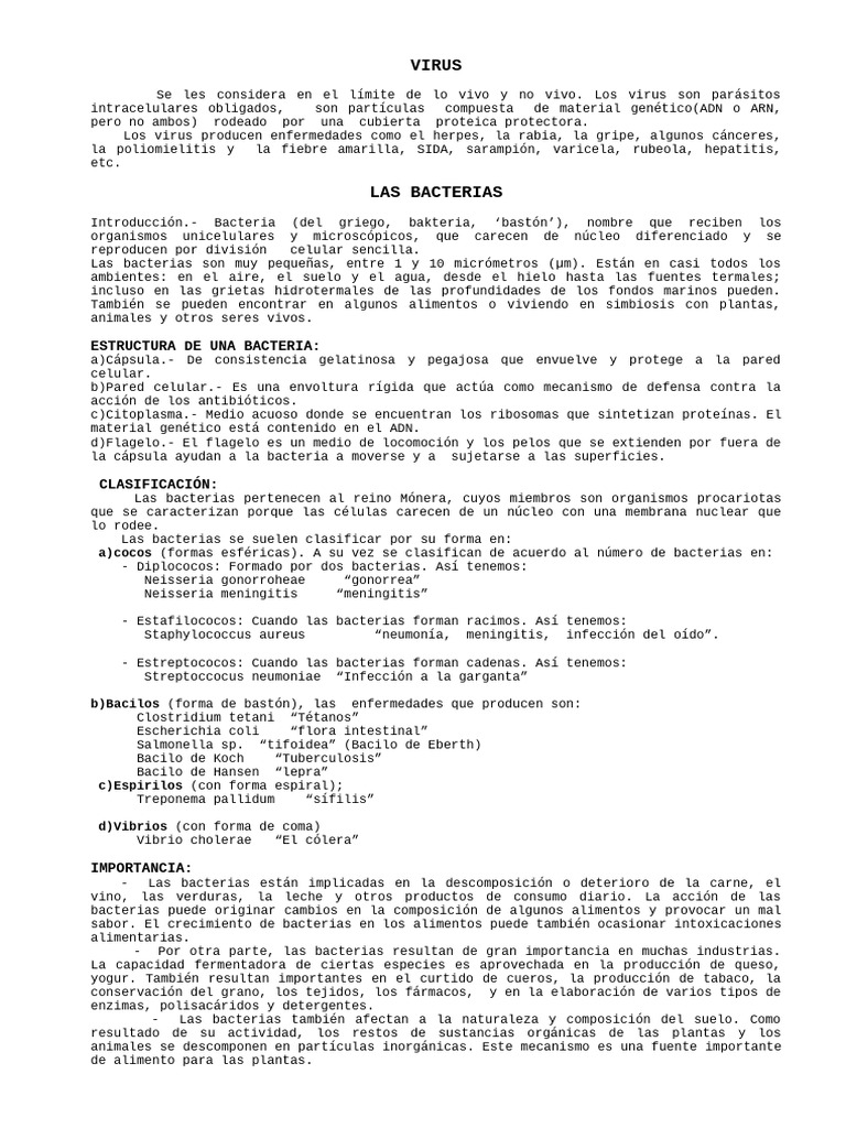 Virus y Bacterias: Características y Enfermedades | PDF | Las bacterias ...