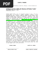 Carta Poder Printaform | PDF