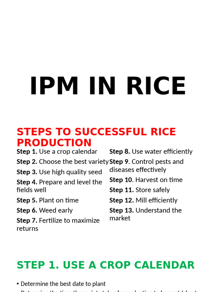 Steps for Successful Rice IPM | PDF | Rice | Weed