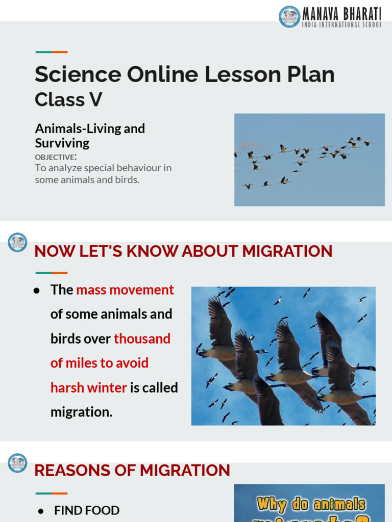 Understanding Animal Migration | PDF
