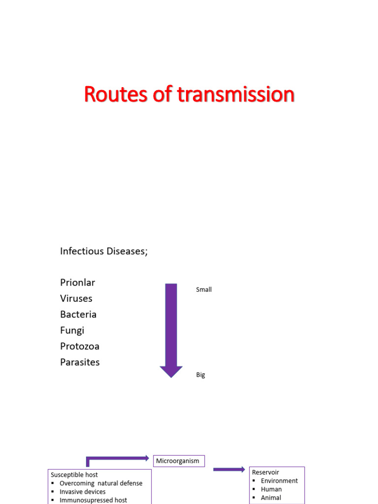 Infection Transmission Routes Explained | PDF | Infection | Health Sciences