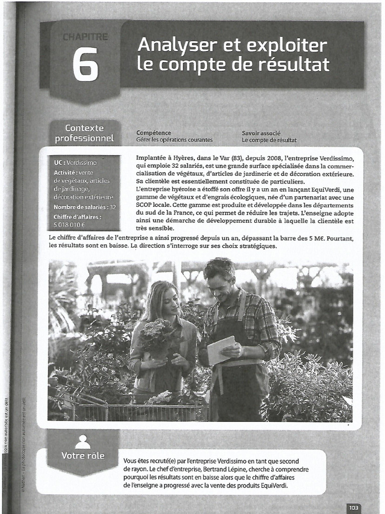 Chapitre 6 Analyser Et Exploiter Le Compte de Résultat | PDF