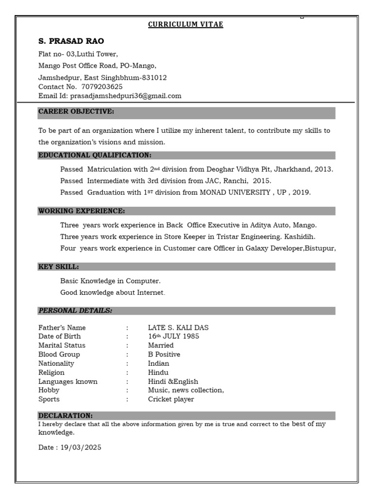S. Prasad Rao's Professional CV | PDF