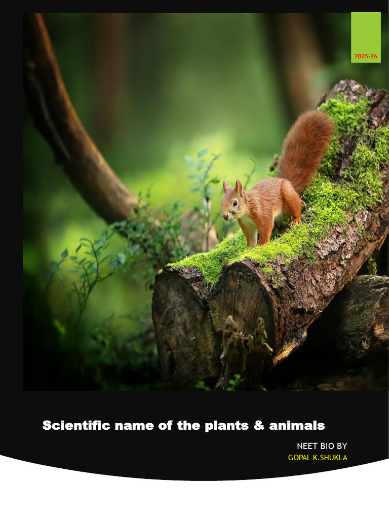Scientific Names of Plants and Animals | PDF | Zoology | Mammals Of Asia