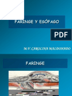 faringe y esofago 2012