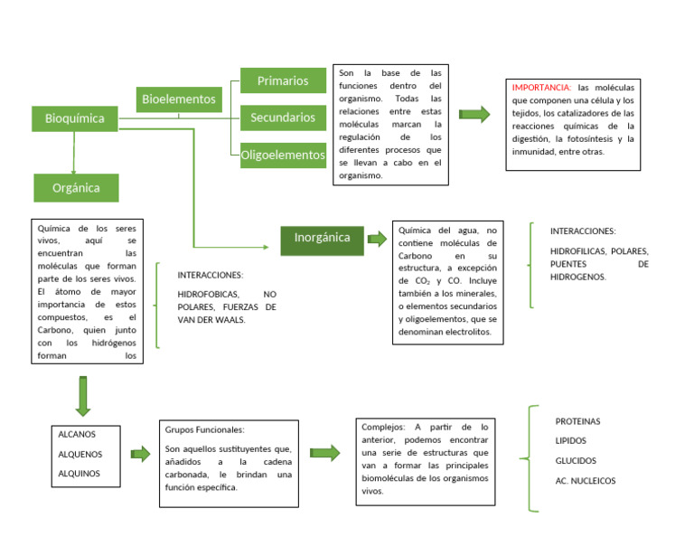 Bioelementos - Clase 1 | PDF | Organismos | Moléculas