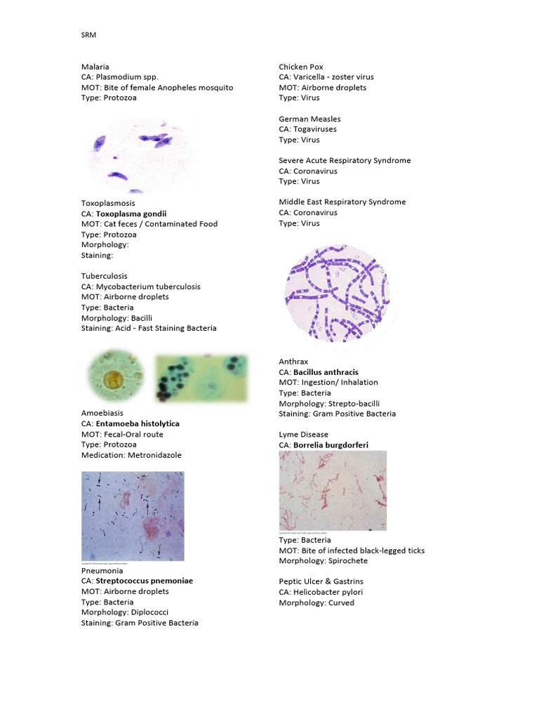 Microbes and characteristics | PDF | Bacteria | Gram Negative Bacteria