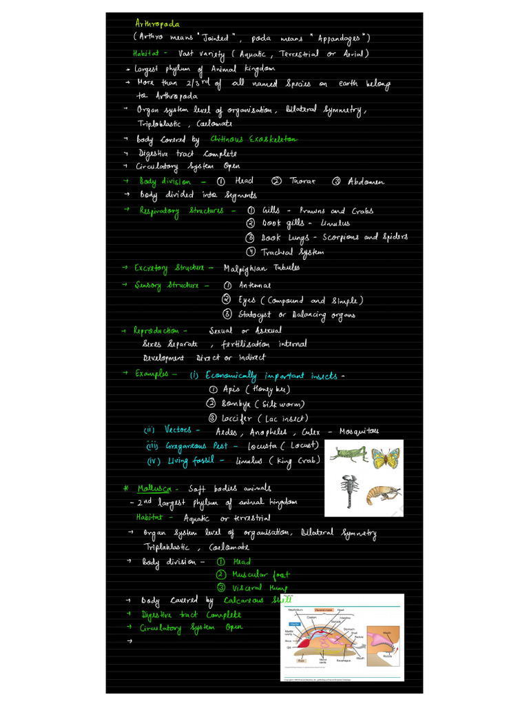 Animal Kingdom Notes - 2 | PDF