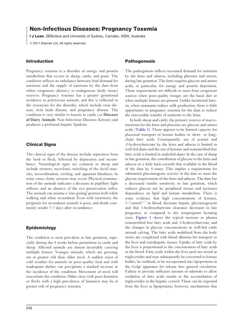 Understanding Pregnancy Toxemia | PDF | Ketosis