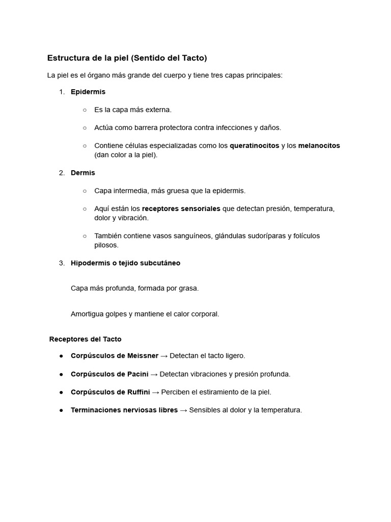 Estructura de La Piel (Sentido Del Tacto) | PDF