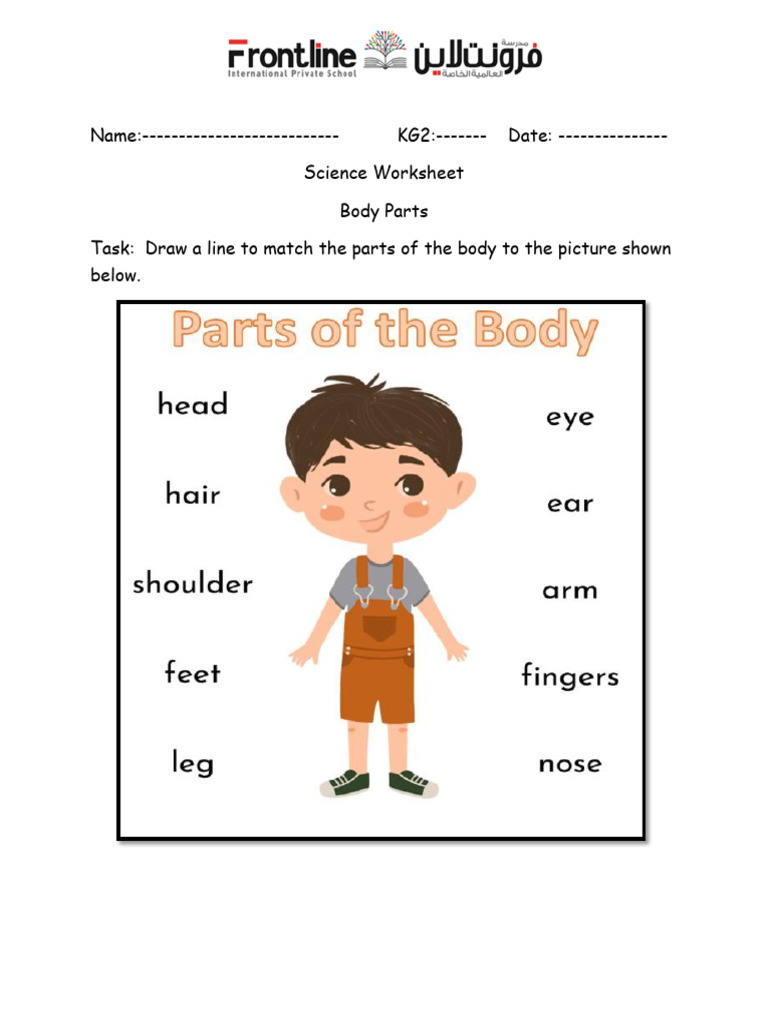 Body Parts Matching Worksheet KG2 | PDF
