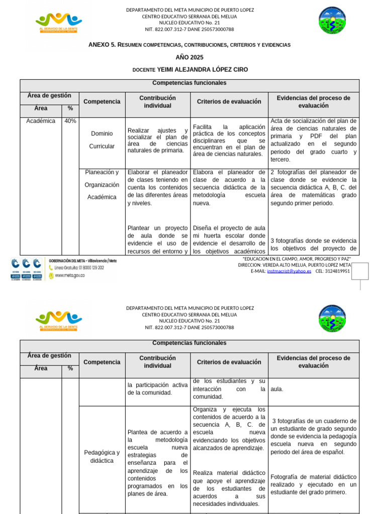 Anexo 5: Evaluación Docente 2025 | PDF | Evaluación | Aprendizaje