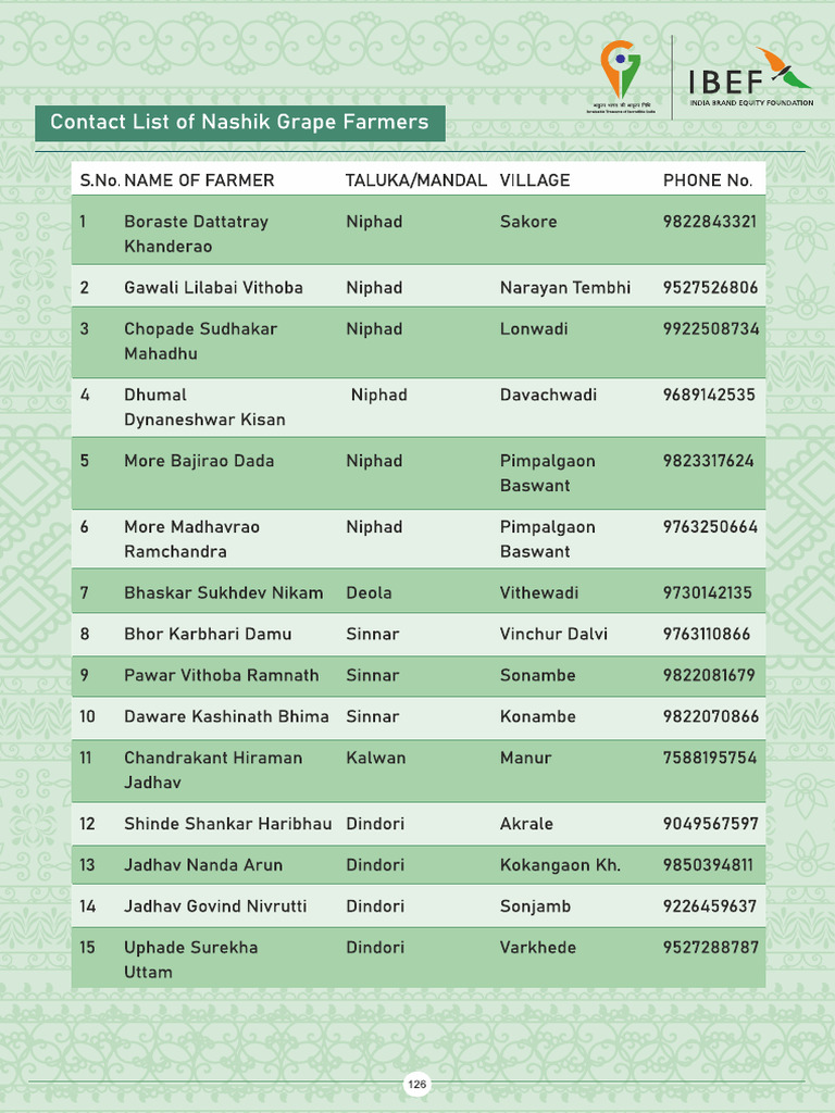 Nashik Grape Vendor | PDF