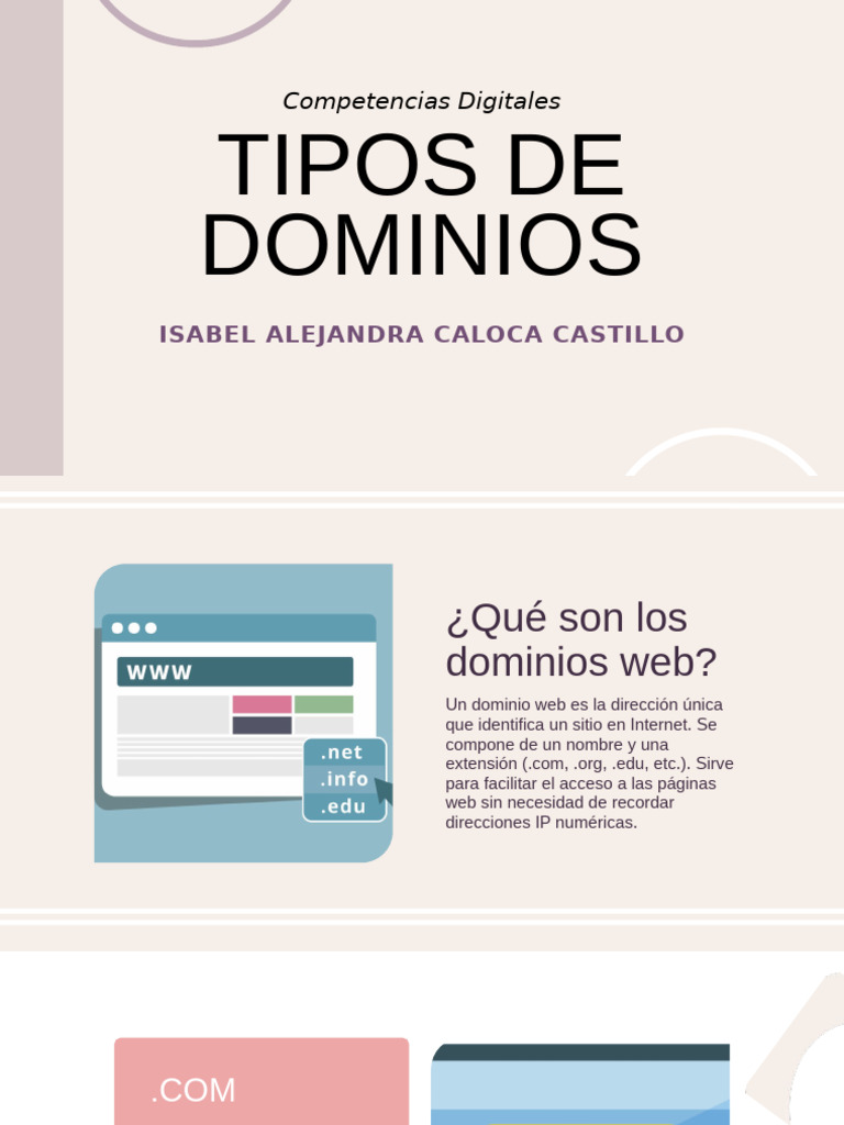 Tipos de Dominios Web y Usos | PDF
