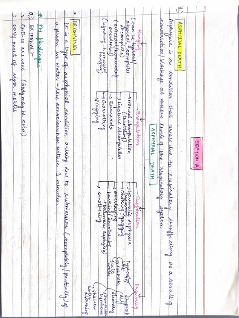 Fa 2 | PDF