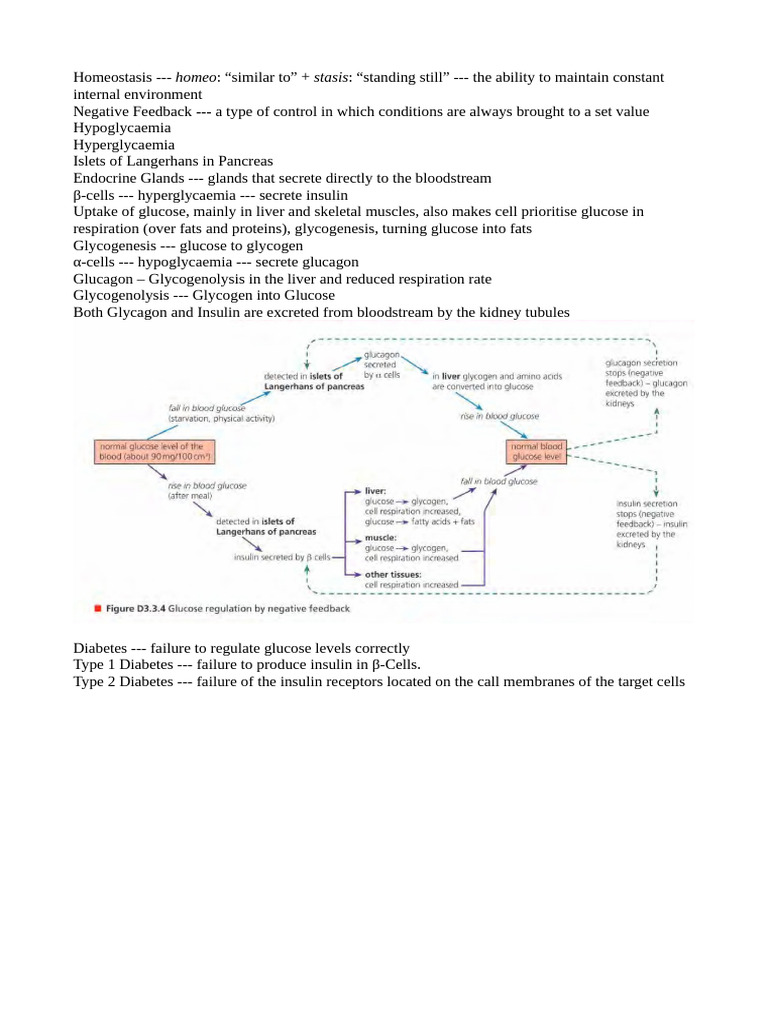 Homeostasis and Hormonal Regulation | PDF