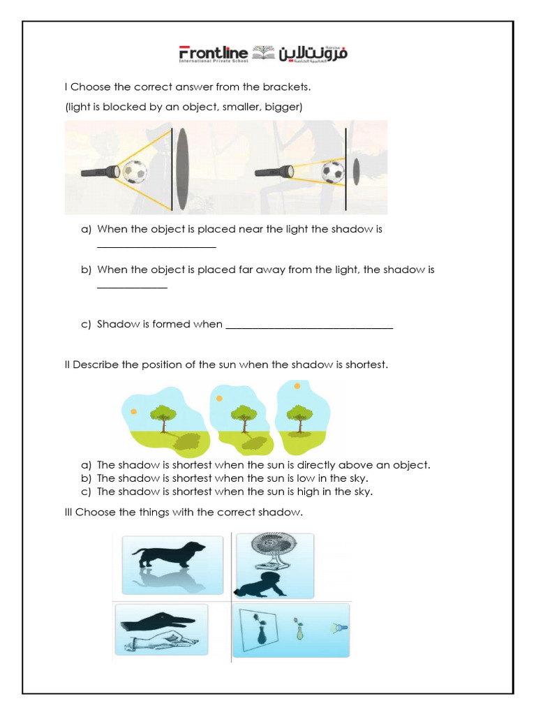 2nd Grade Shadow Worksheet | PDF