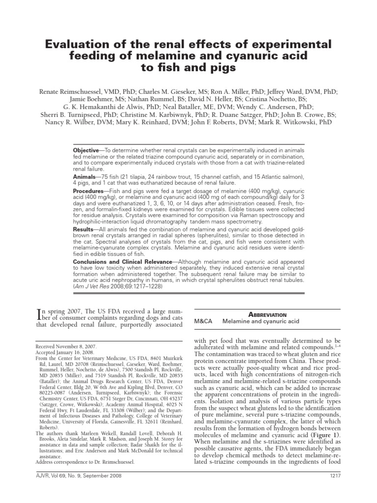 Renal Effects of Melamine in Animals | PDF | Kidney | Raman Spectroscopy