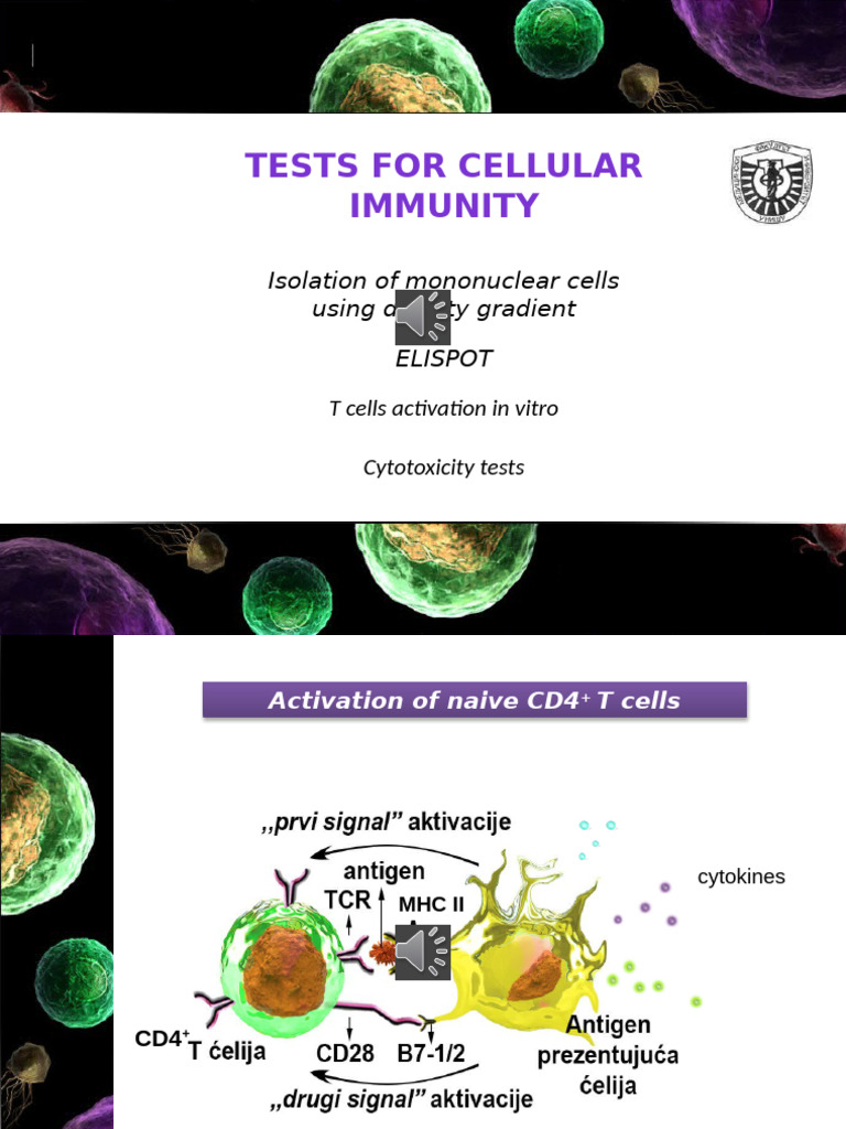 In Vitro Cellular Immunity Testing Methods | PDF | Immune System | T ...