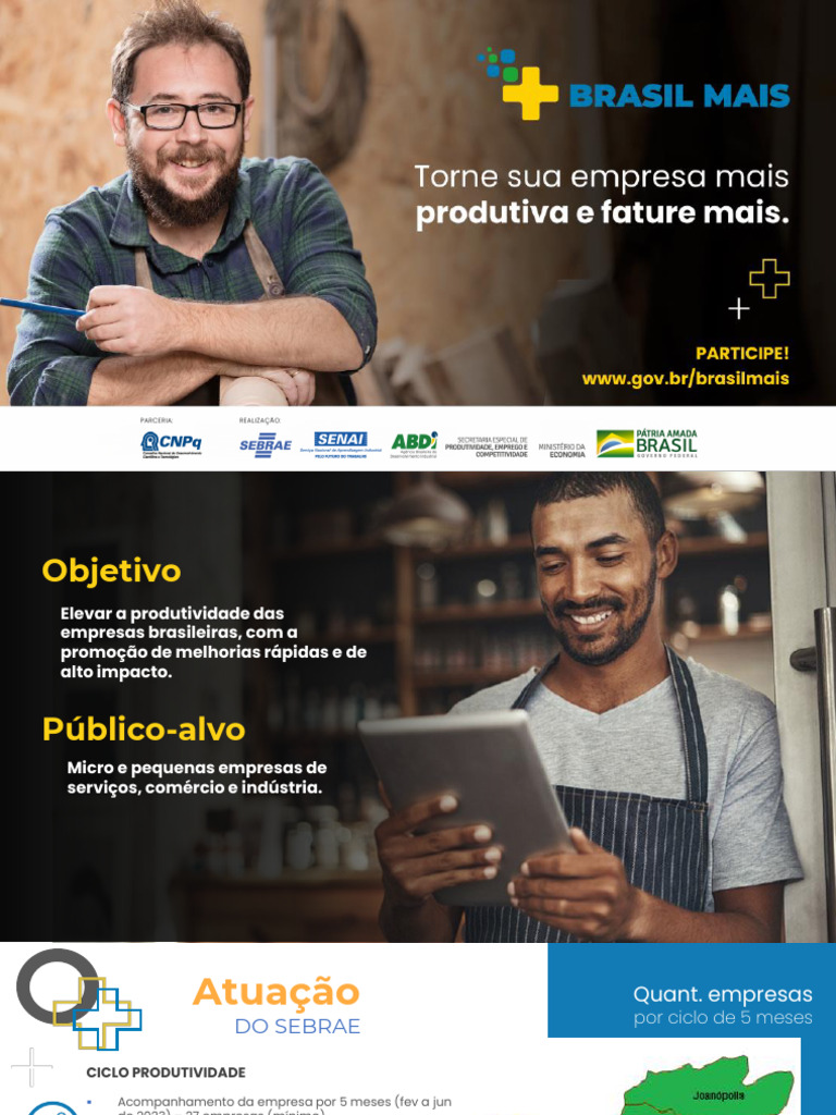 Programa ALI: Aumente sua Produtividade | PDF