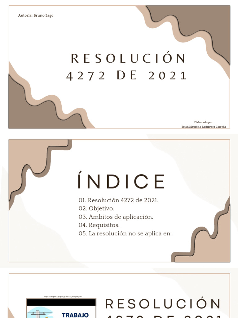 Exposición Resolución 4272 de 2022 | PDF