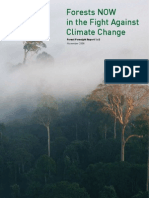 Forests Now in the Fight Against Climate Change