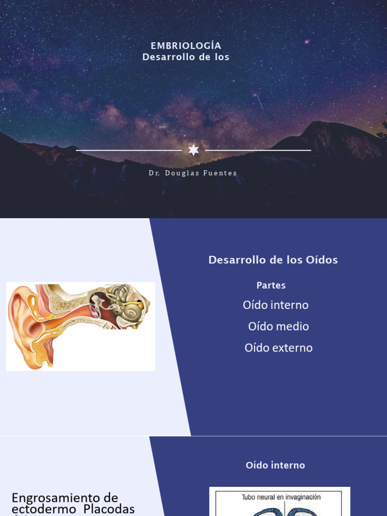 Desarrollo del Modiolo Coclear | PDF | Oído | Retina