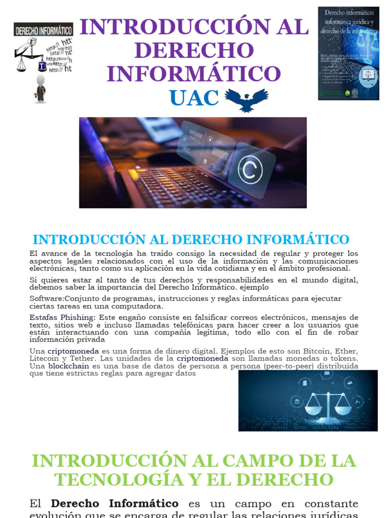 Derecho Informatico | PDF | Informática | Cibercrimen