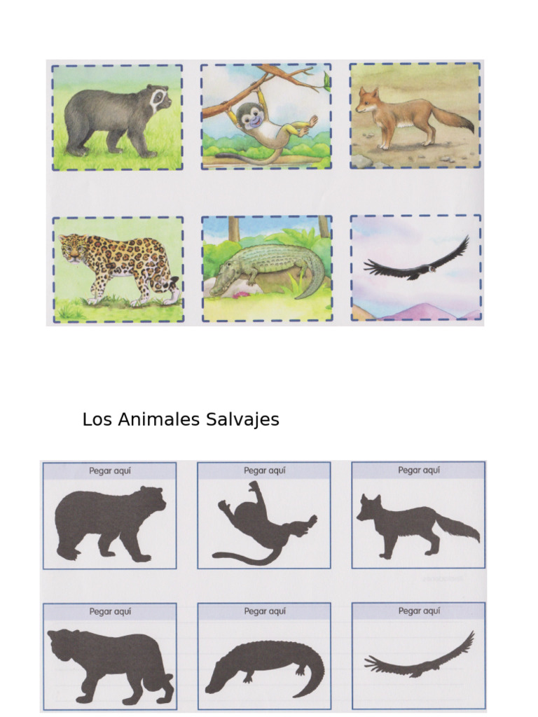 Animales Salvajes | PDF