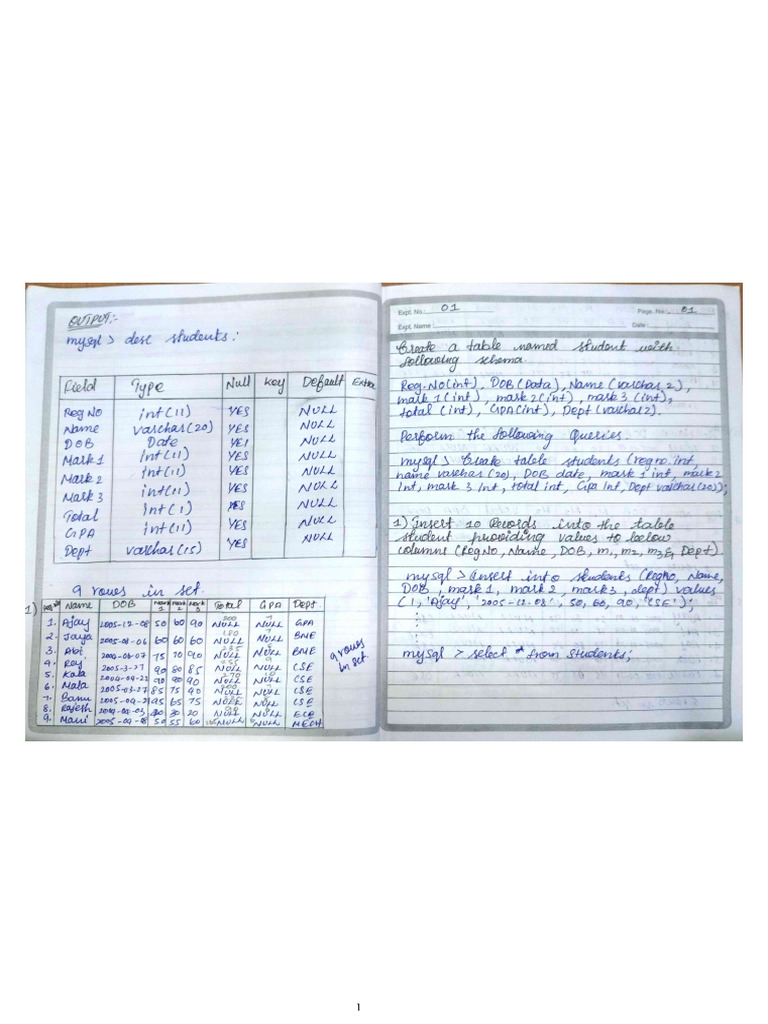 DBMS Ex 1 | PDF