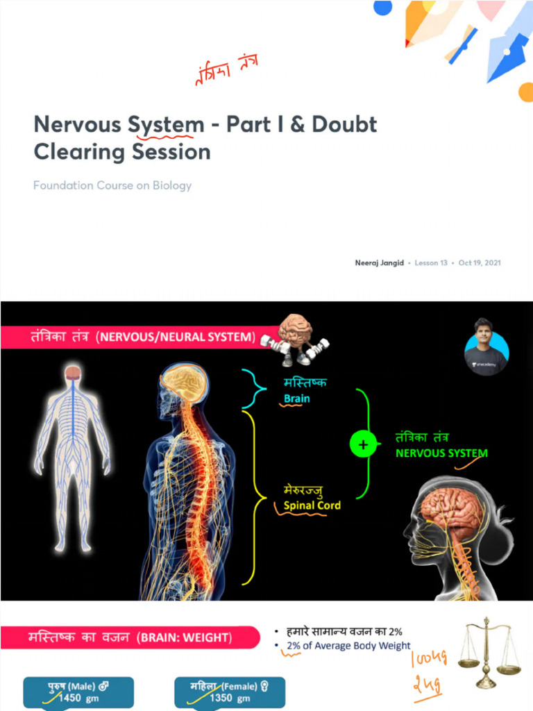 6 Nervous - System | PDF
