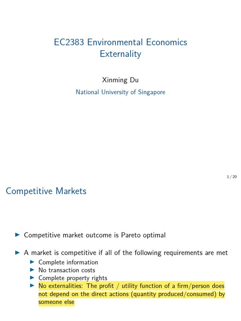 Understanding Externalities in Economics | PDF | Externality | Business ...