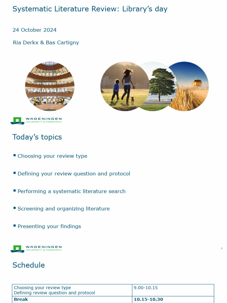 Systematic Review October2024 | PDF | Systematic Review