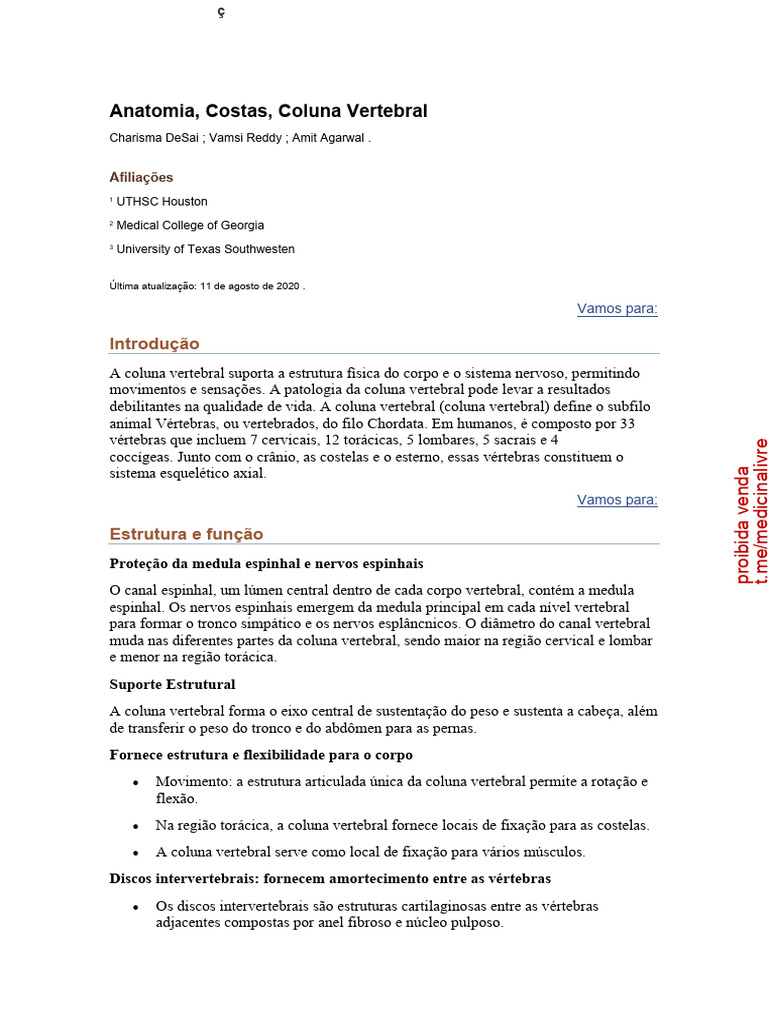 Anatomia da Coluna Vertebral e Funções | PDF | Coluna vertebral | Vértebra
