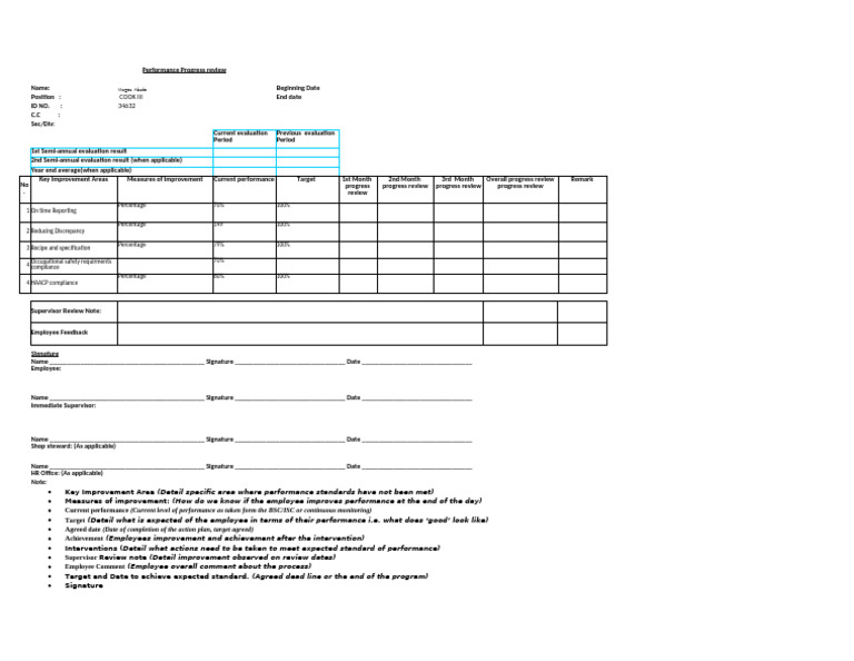 1 PIP Progress Review Template | PDF | Business | Workplace