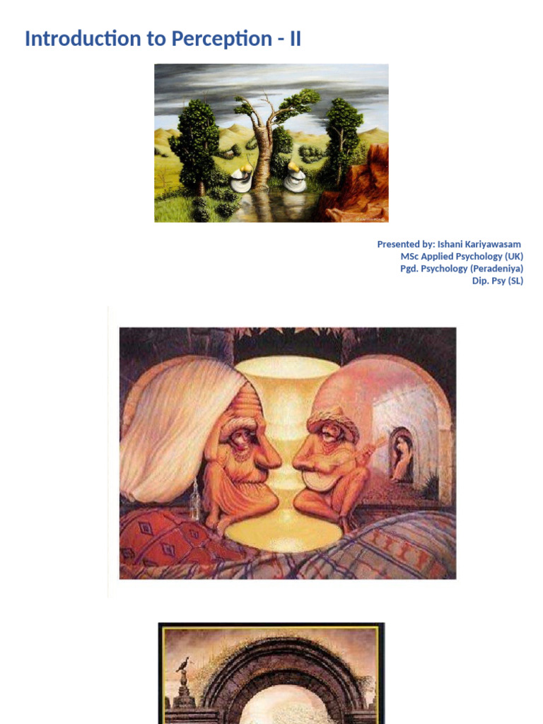 Introduction To Perception II | PDF | Perception | Experience