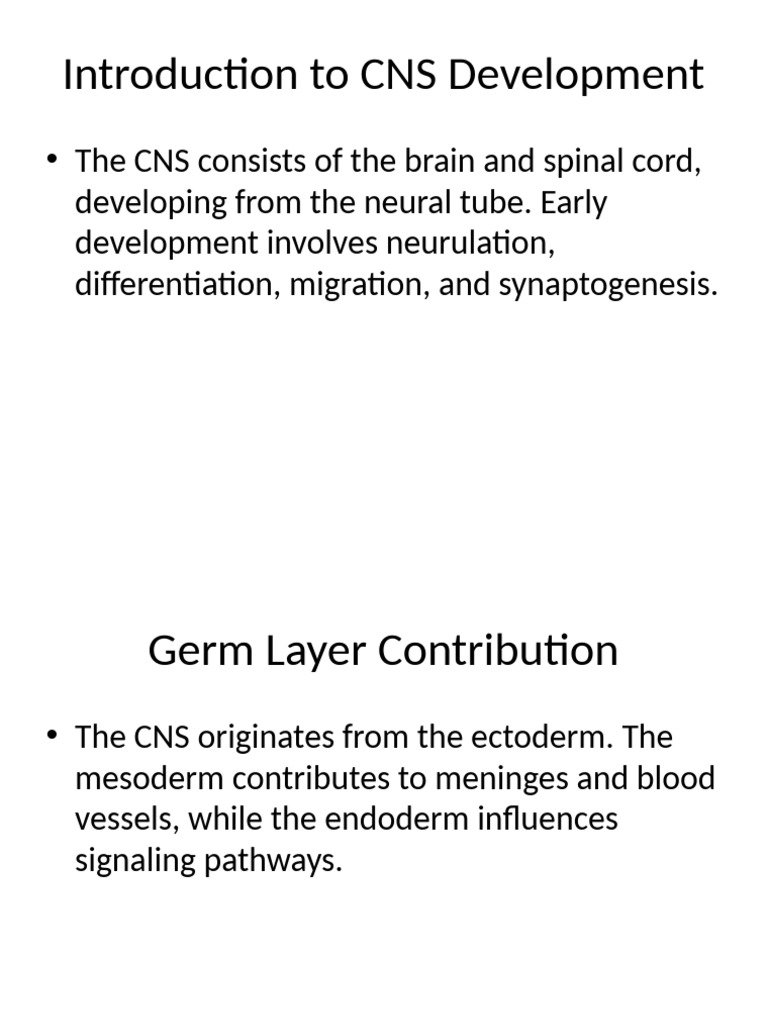 Overview of CNS Development Processes | PDF | Nervous System | Brain