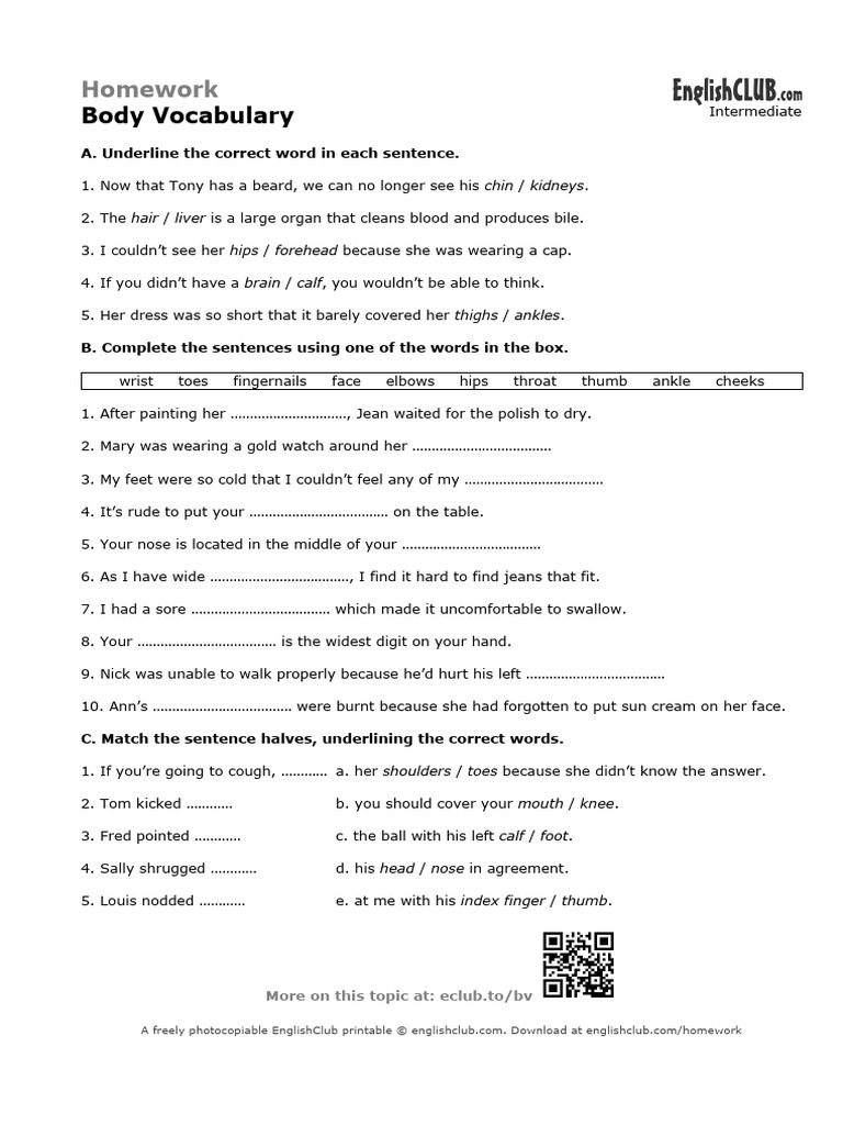 English Body Vocabulary Homework Worksheet | PDF