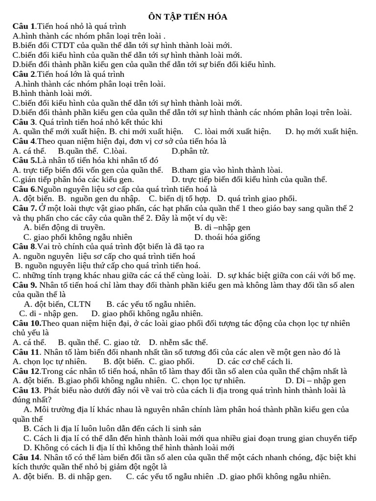 N TP Tin Ha | PDF