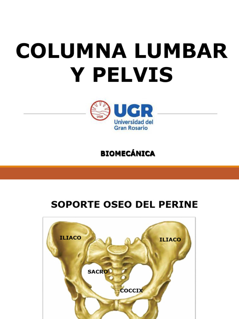 Biomecánica de Columna y Pelvis | PDF | Pelvis | Sistema esquelético