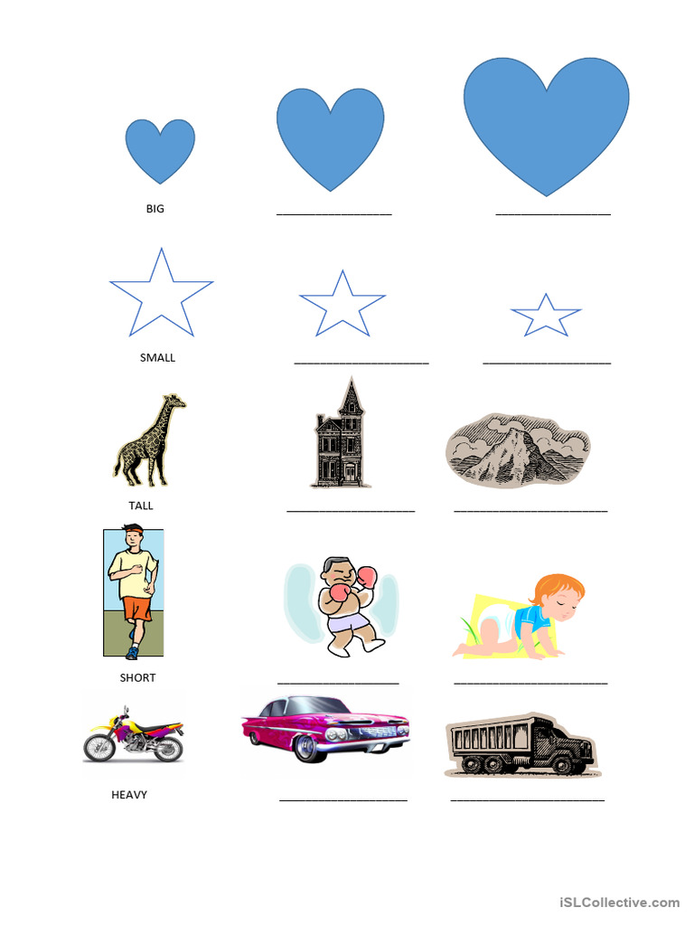 Visual Guide to Size and Weight Descriptors | PDF