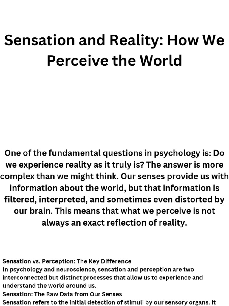 Understanding Sensation and Perception | PDF | Senses | Perception