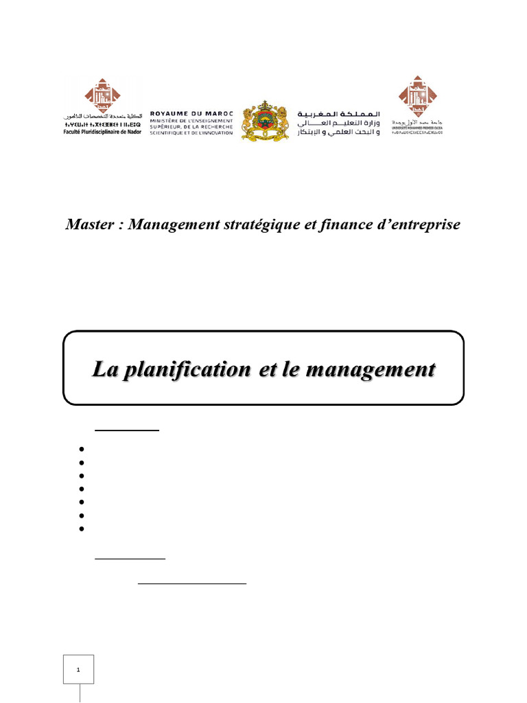 Planification et Management Stratégique | PDF | Planification ...