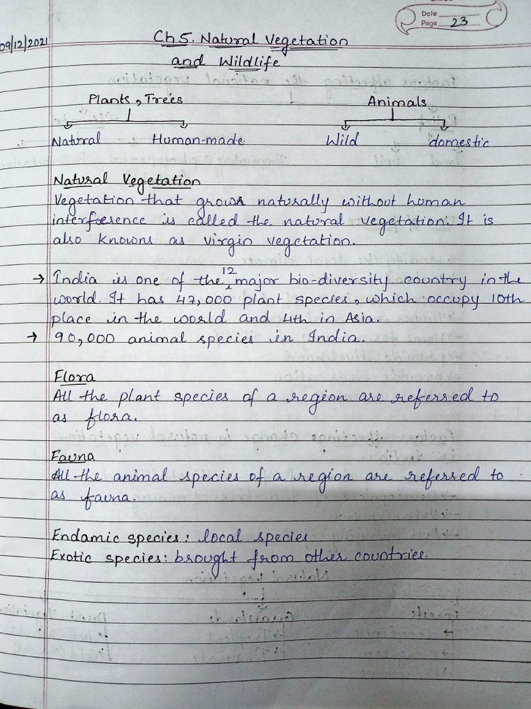 Geo ch 5 notes | PDF | Trees