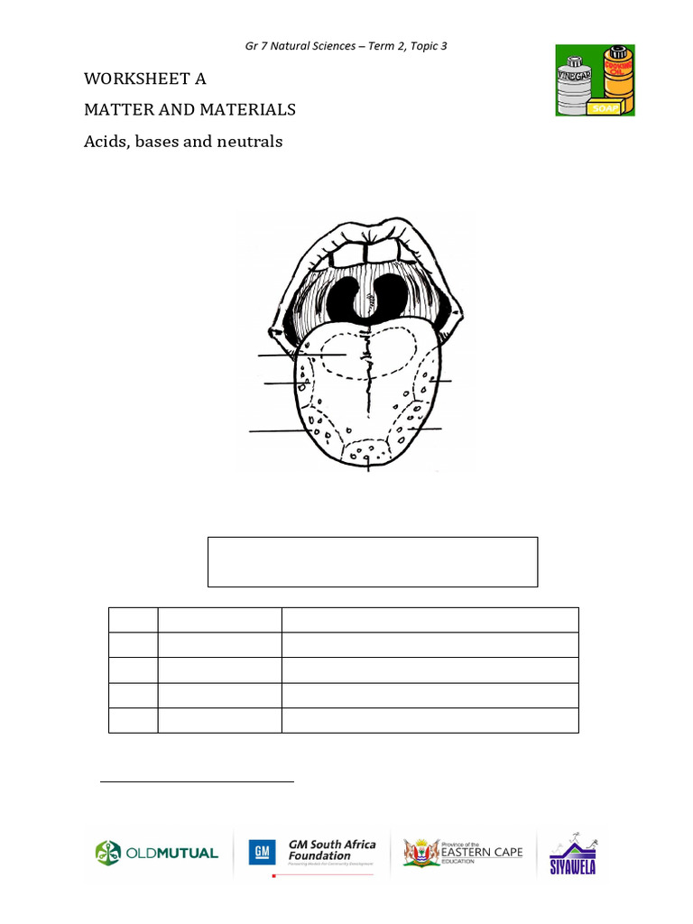 Acids and Bases Worksheet for Grade 7 | PDF