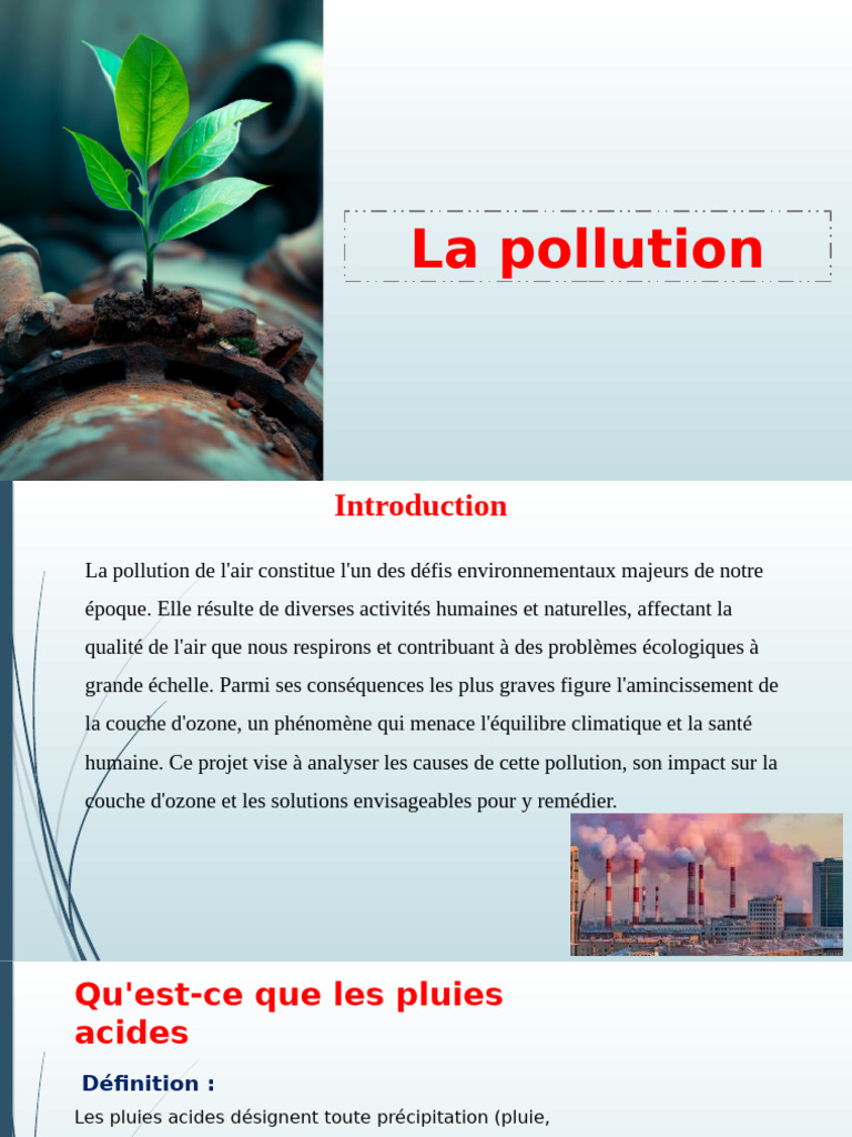 Pollution de l'air et solutions durables | PDF | Pollution de l'air ...