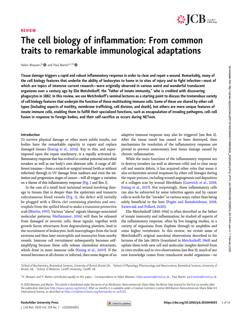 Cell Biology of Inflammation Insights | PDF | Inflammation | Macrophage